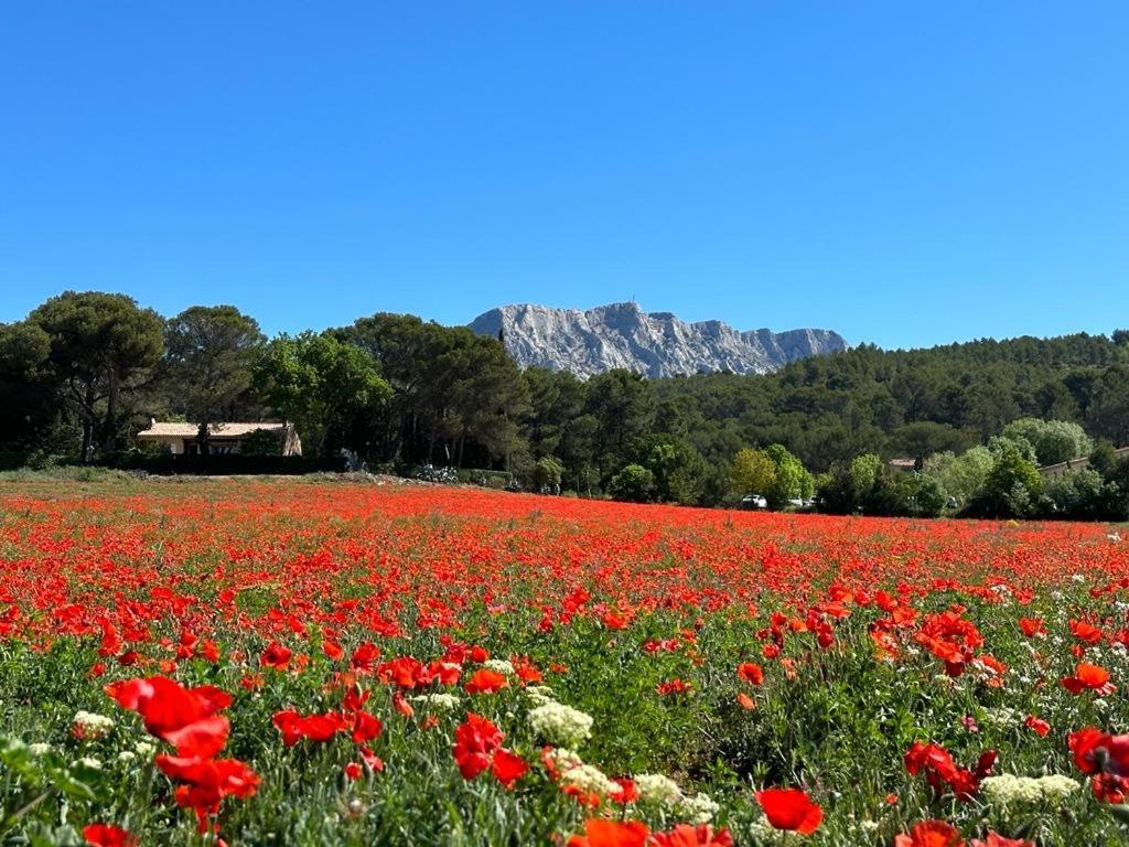 Villa Lumineuse Avec Piscine Clim 1Ere Etage Vue Panoramique Sur Les Montagnes Sur Le Site De La Sainte-Victoire Le Tholonet Exteriér fotografie